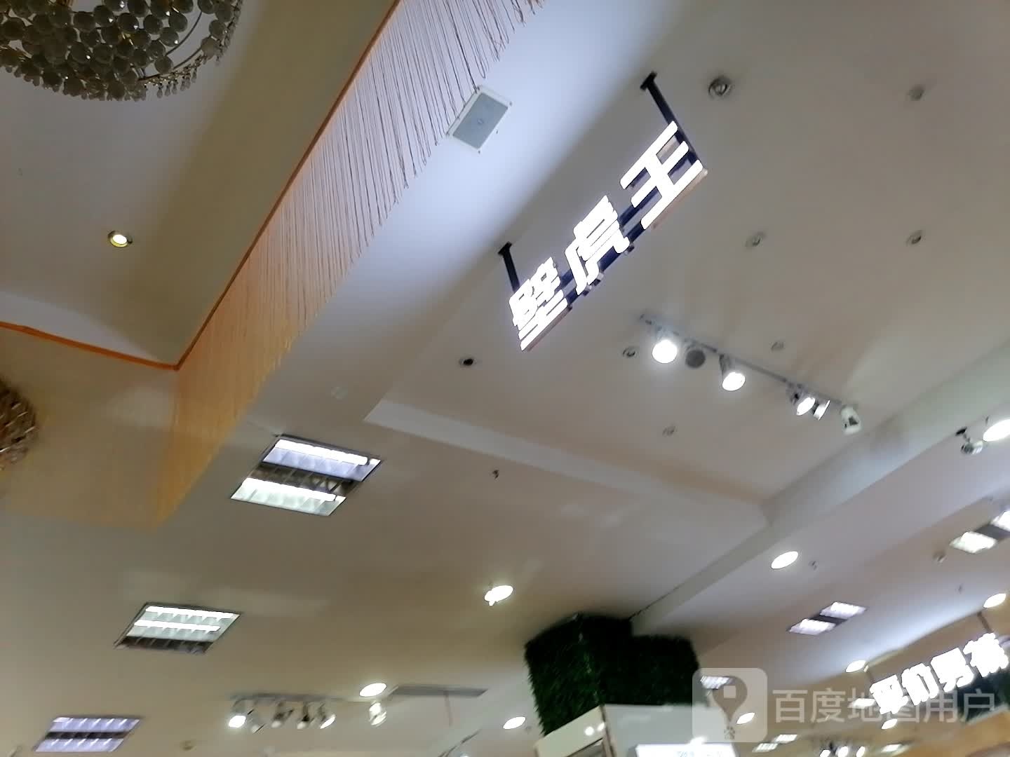 壁虎王