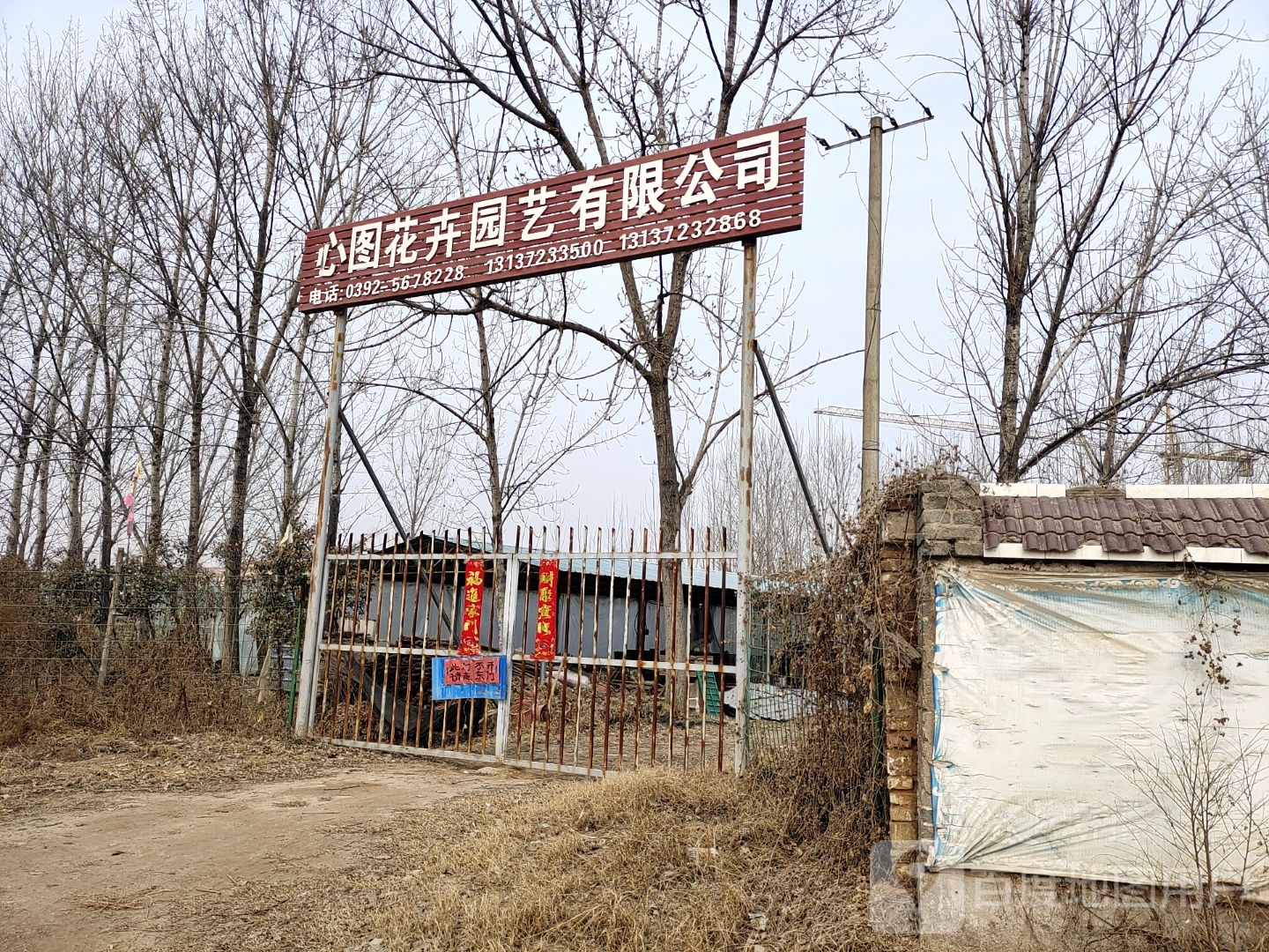 心图花卉园艺有限公司