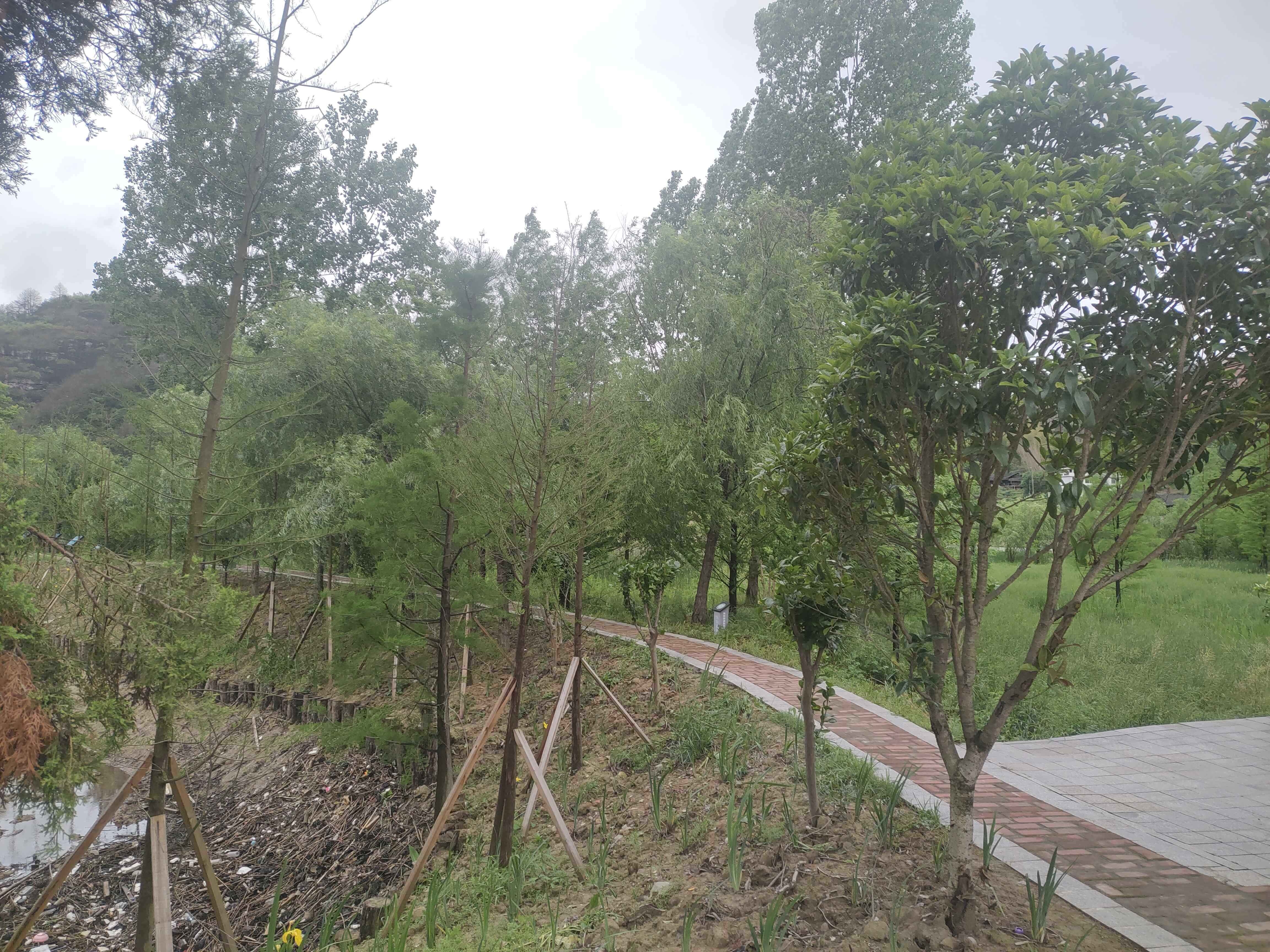 思蒙碧水丹霞景区-湿地植物园