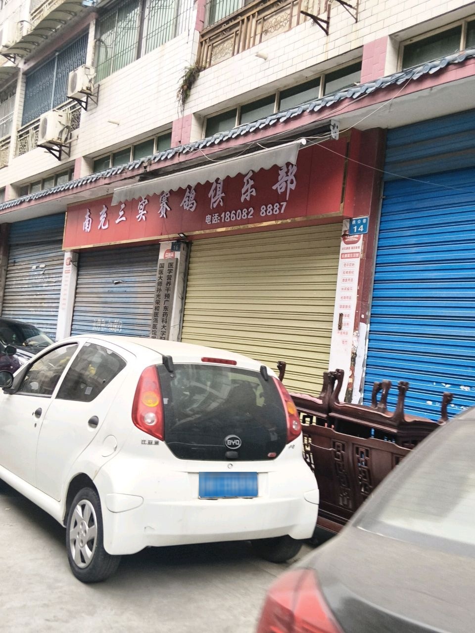 实赛鸽俱乐部