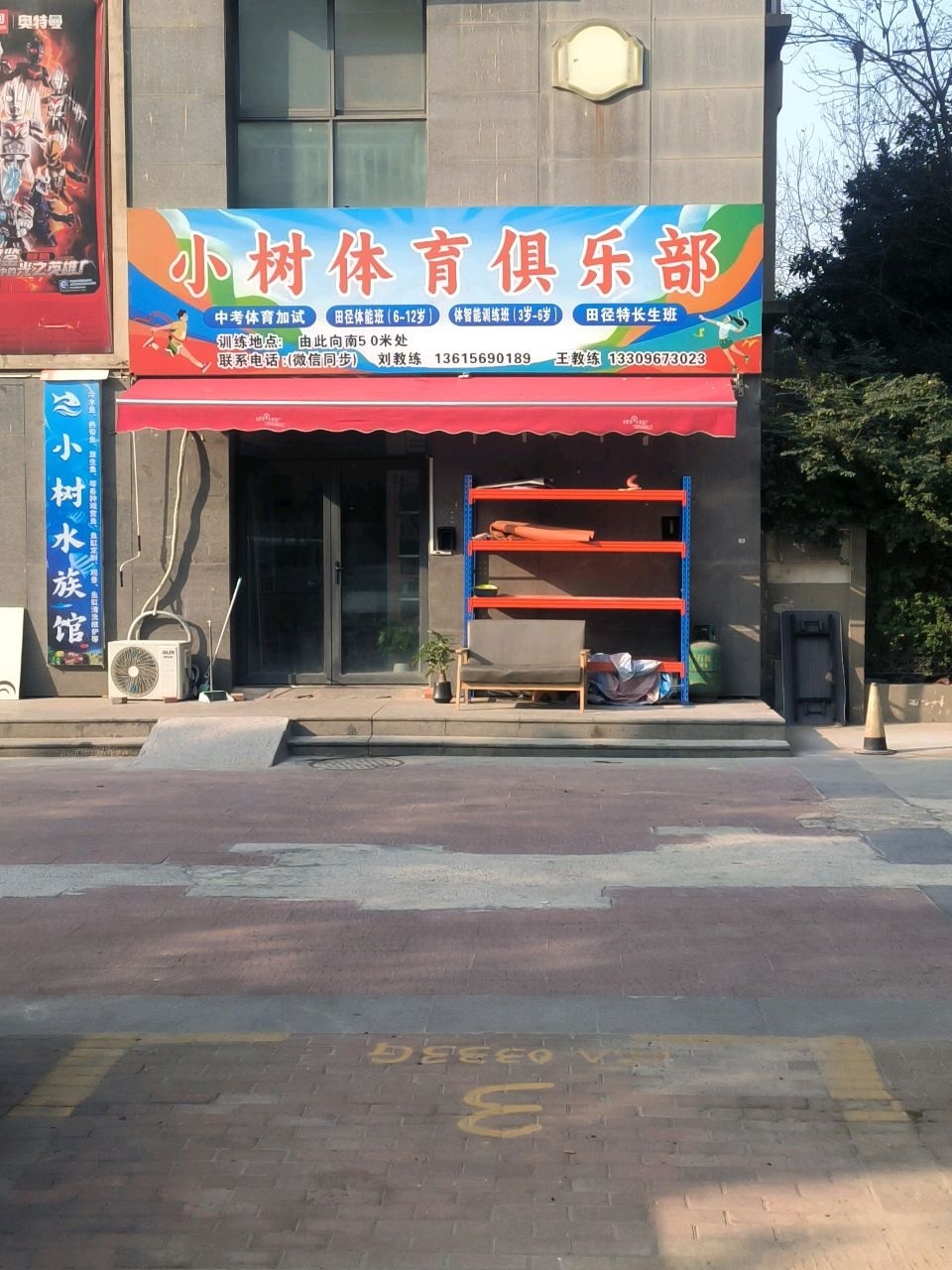 小树体育俱乐部