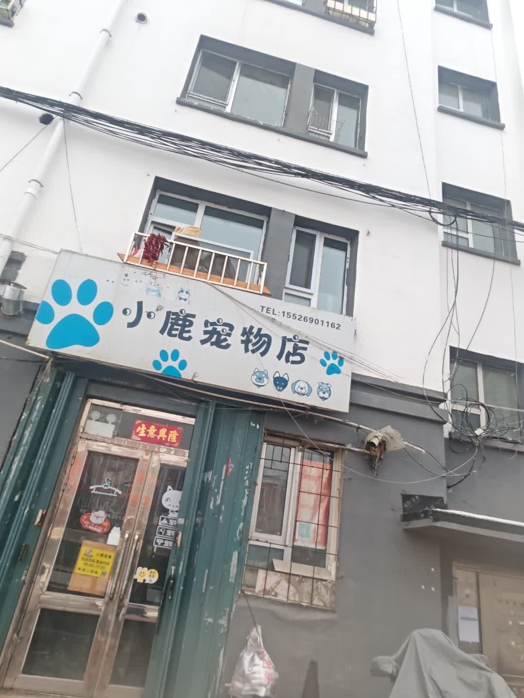 小鹿宠物店