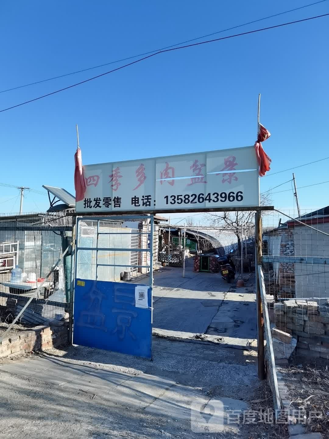 四季多肉盆景
