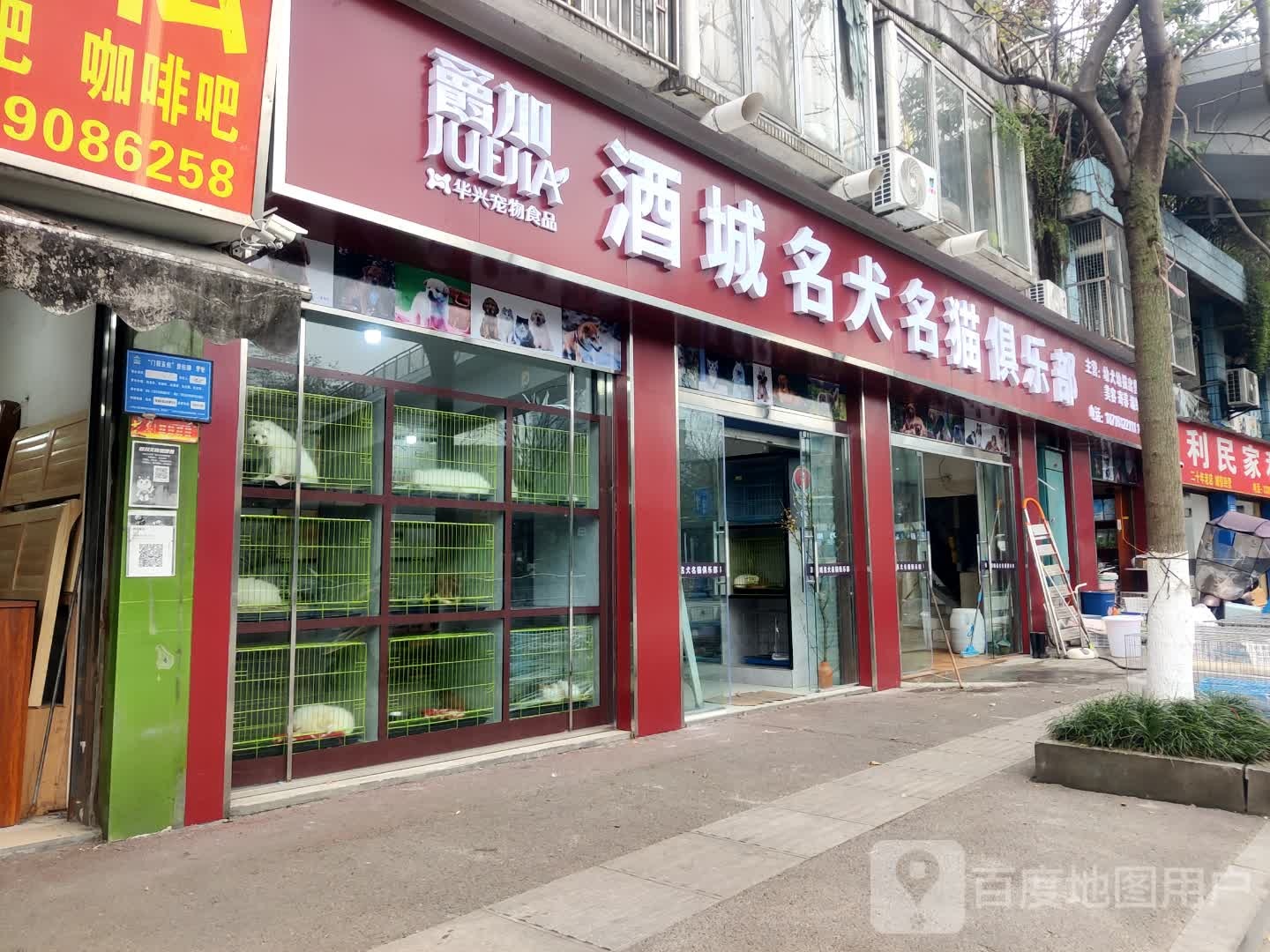 泸州酒城名犬名猫宠物俱乐部(广场店)