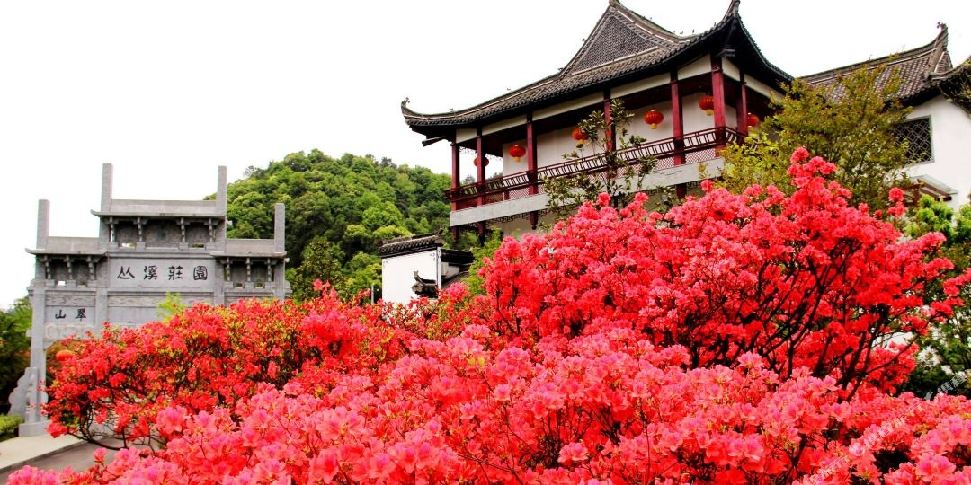 丛溪庄园