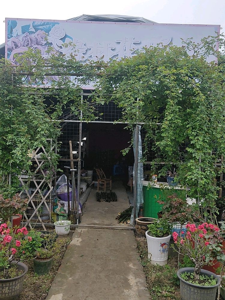 缘梦花艺