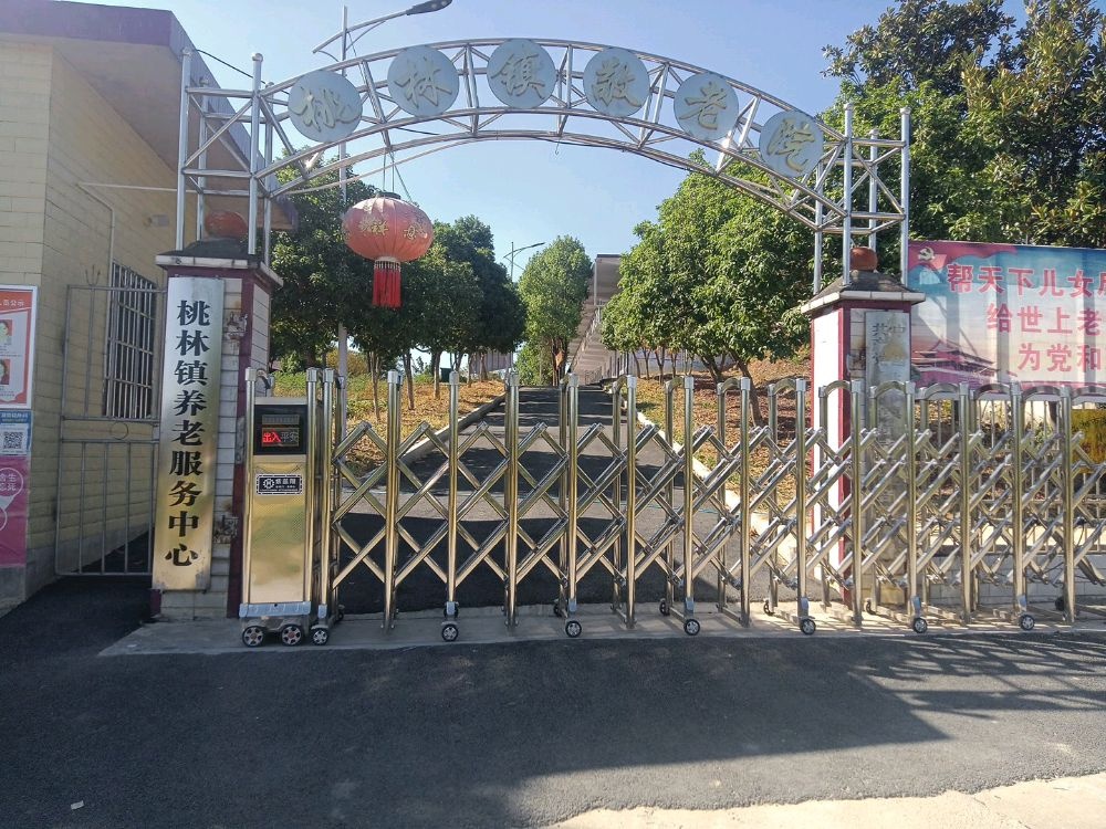 临湘市桃林镇养老院