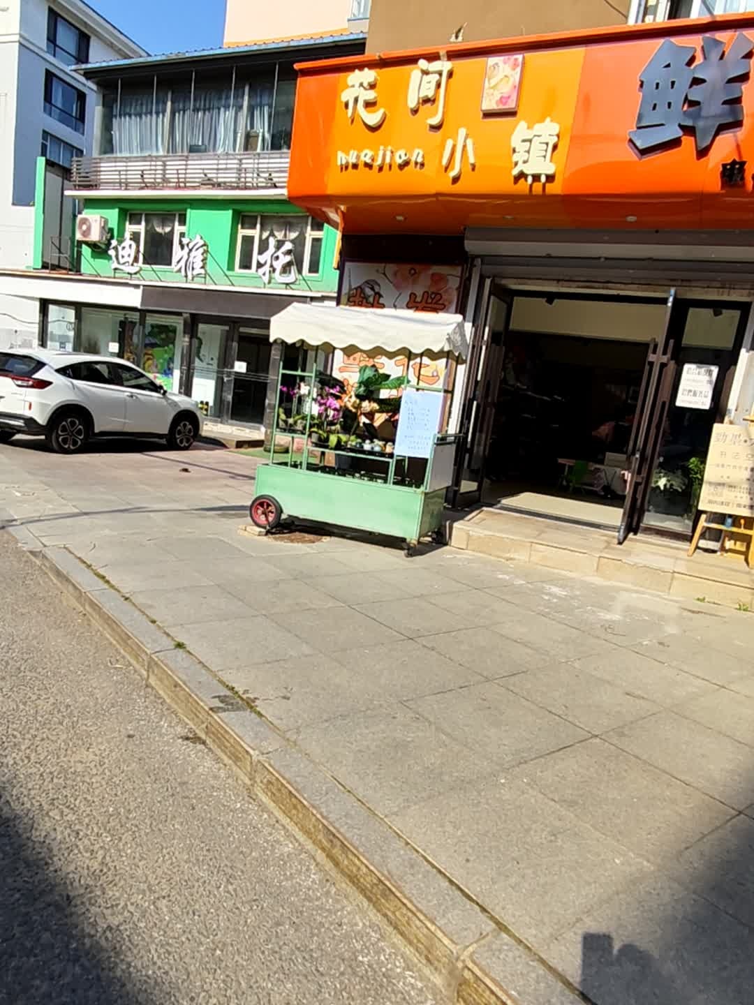 花间小镇鲜花
