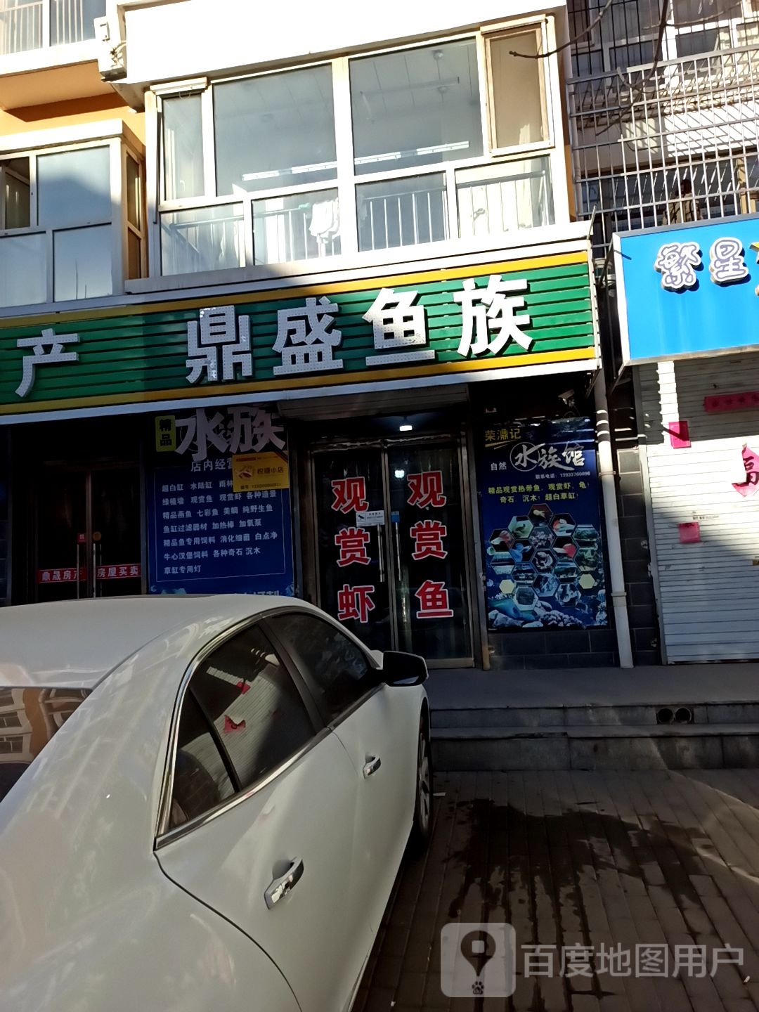 鼎盛鱼族