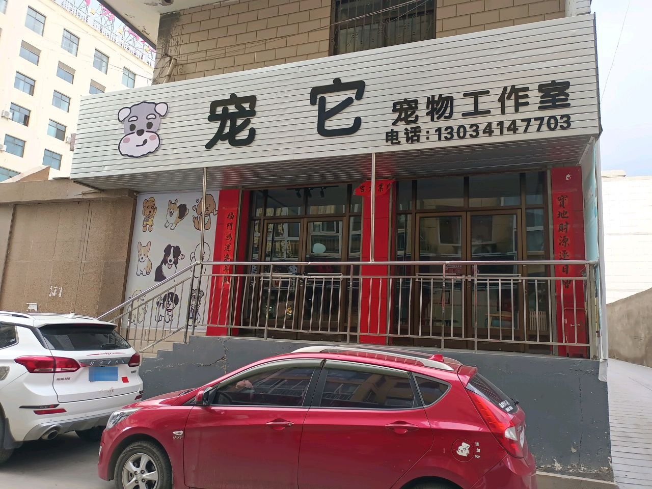 宠它宠物工作室