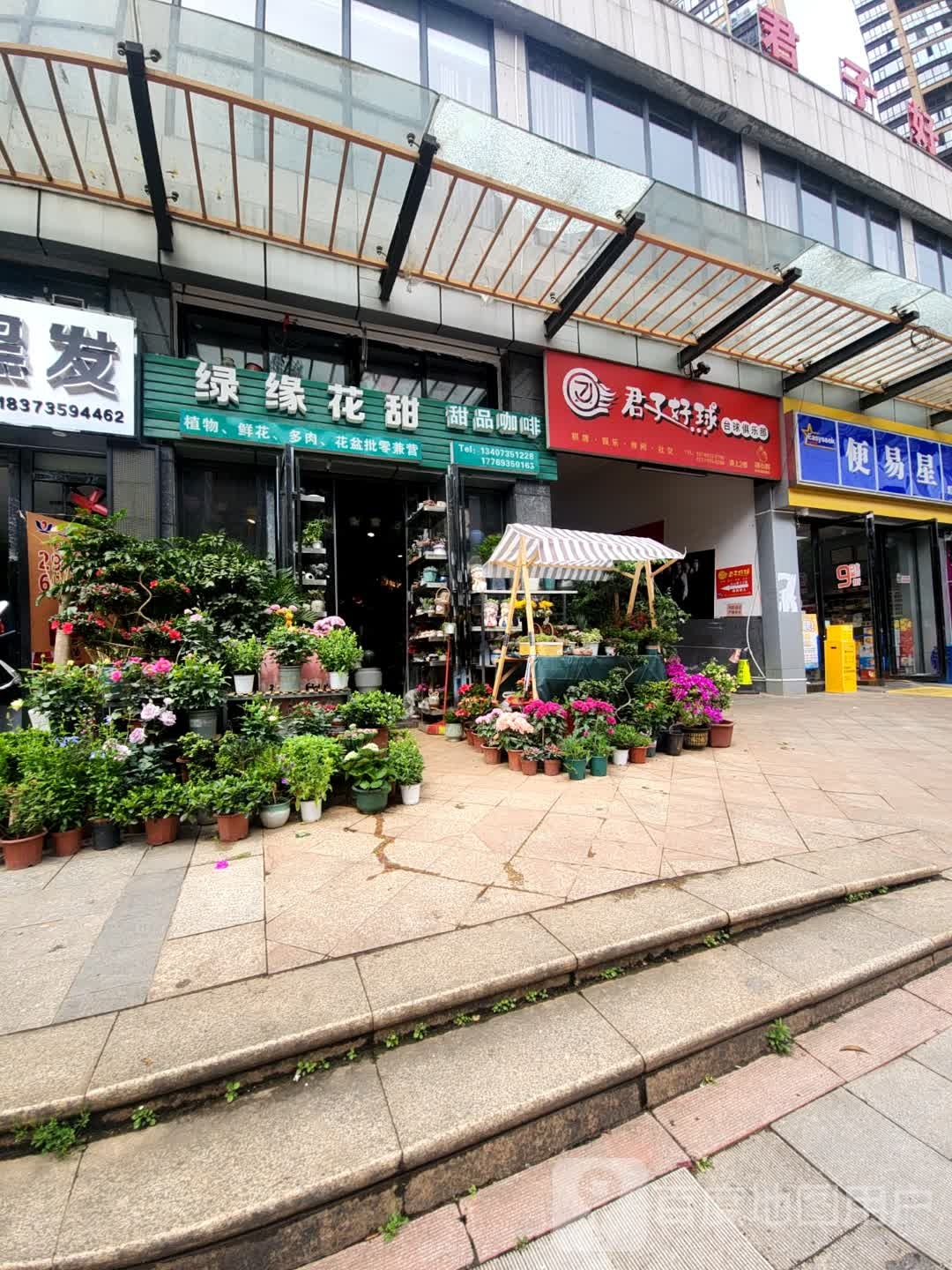 君子好球台球俱乐部(欢乐海岸店)