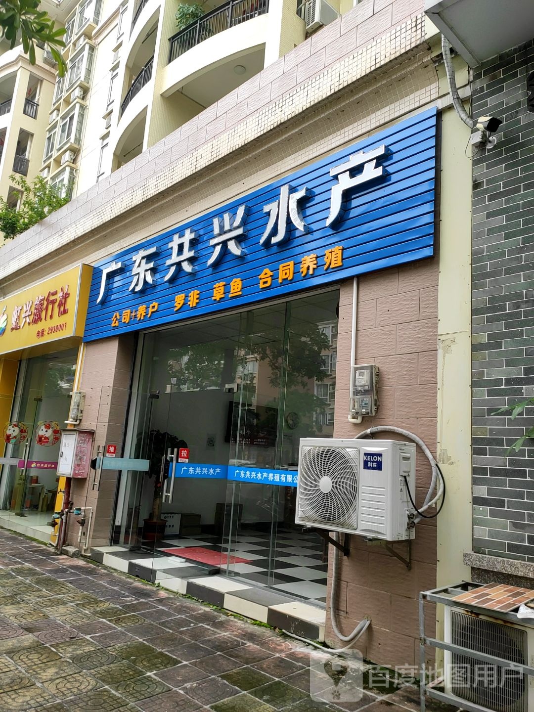 广东共兴水产(翔顺花园二区店)