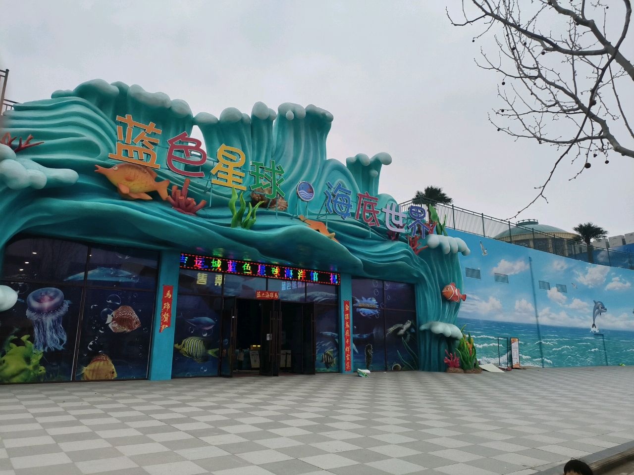 蓝色星球海底世界