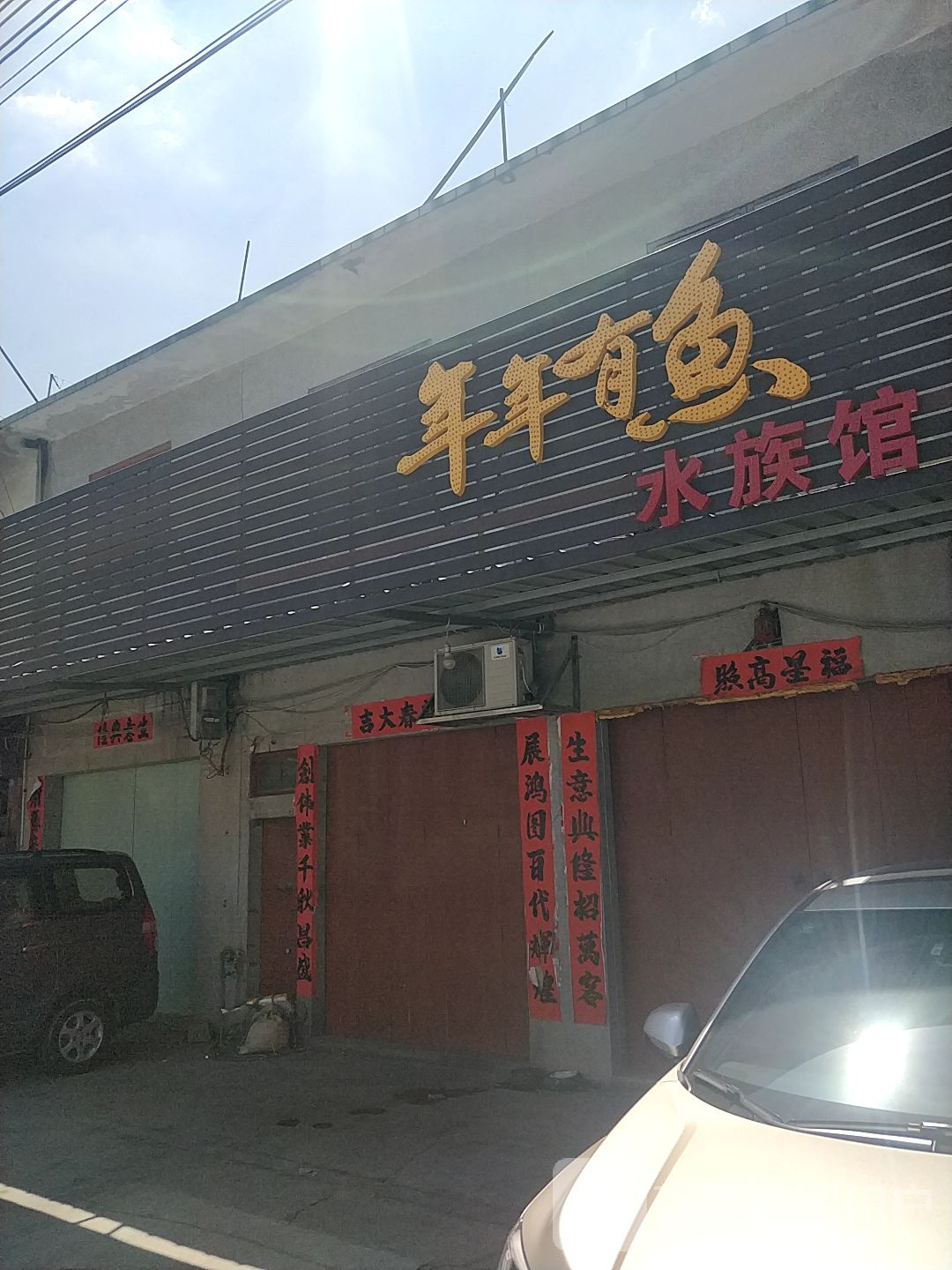 年年有雨水族馆