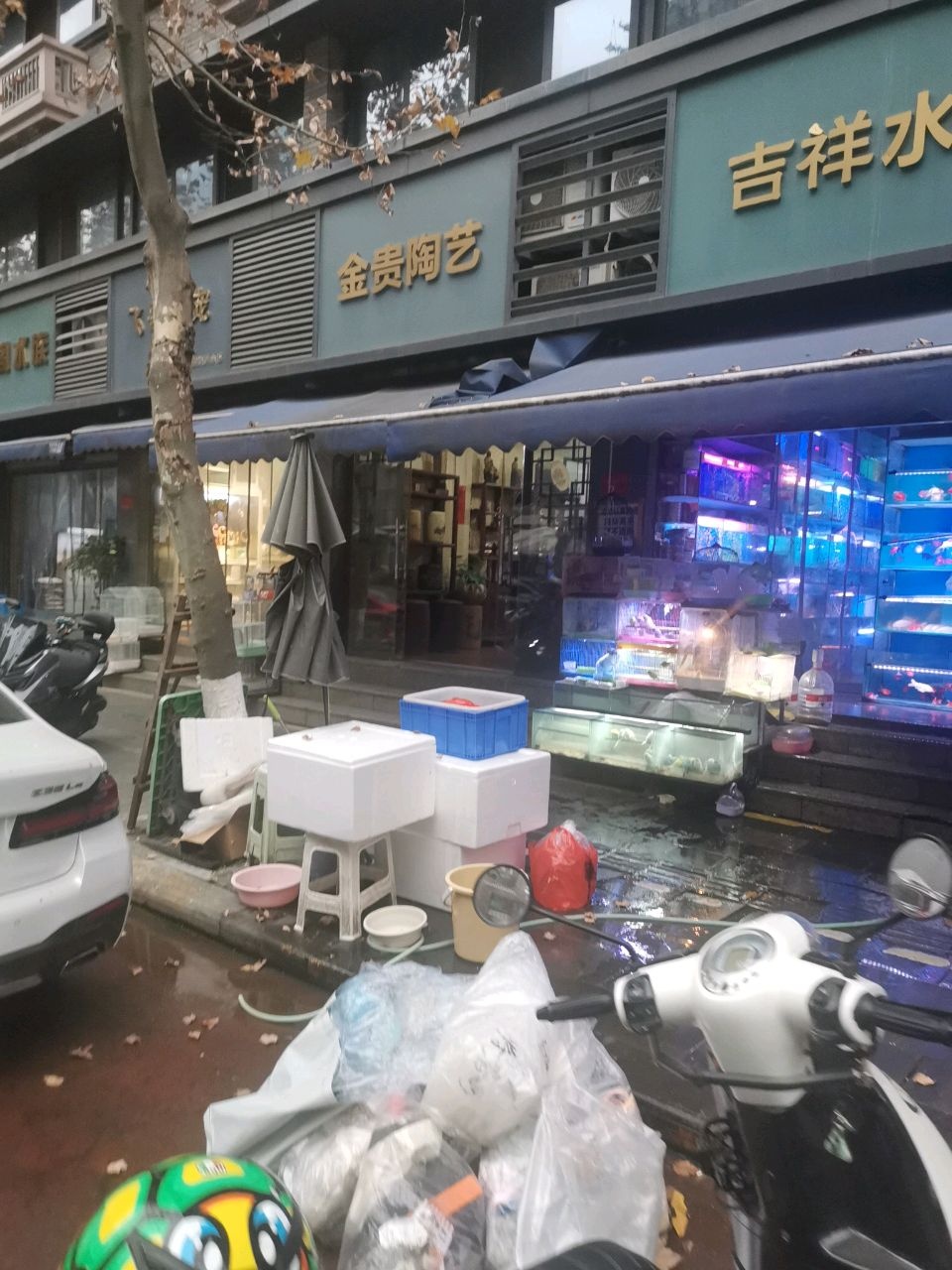 飞哥鹦宠(新泓苑店)