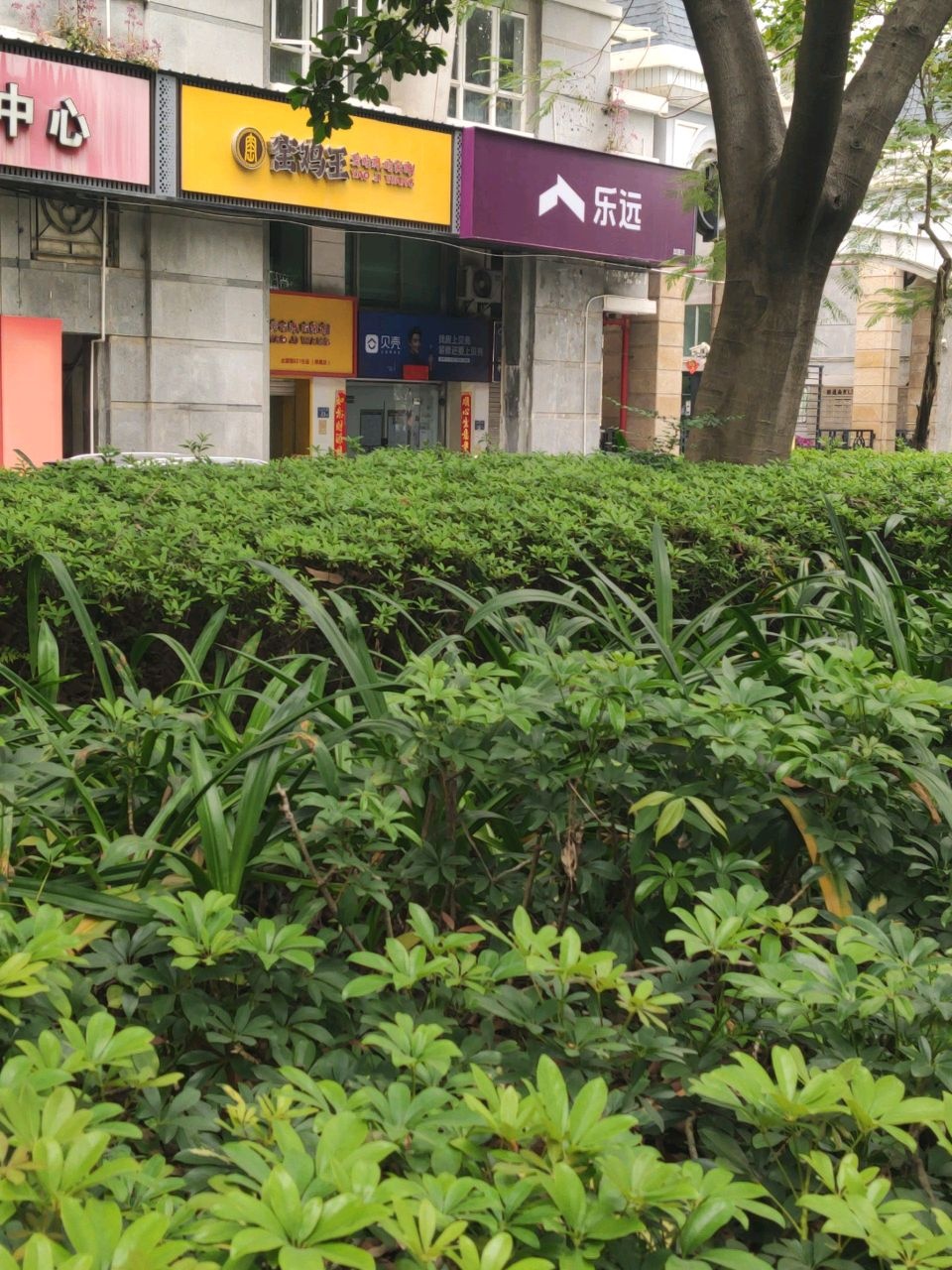 乐远(云顶中路店)