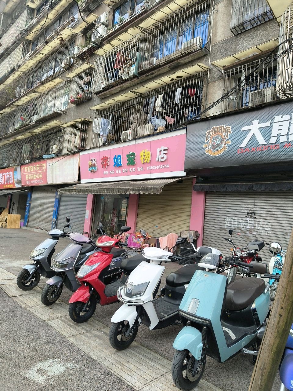 萍姐宠物店