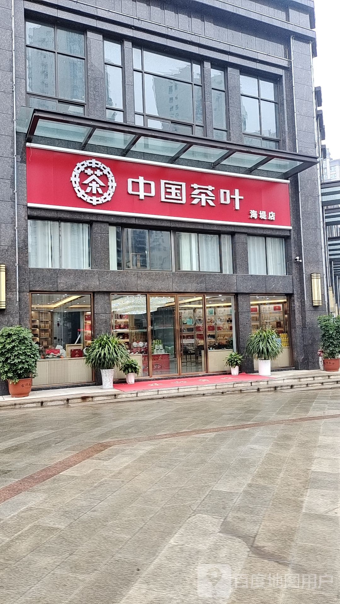 中国茶叶(海堤店)