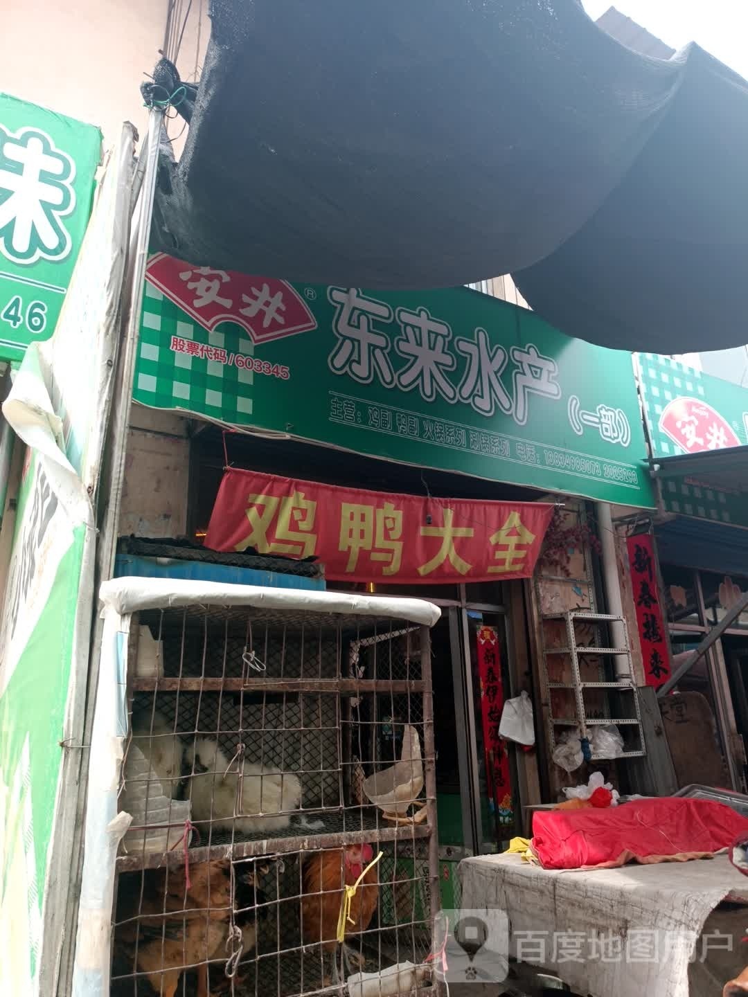 东来水产总部
