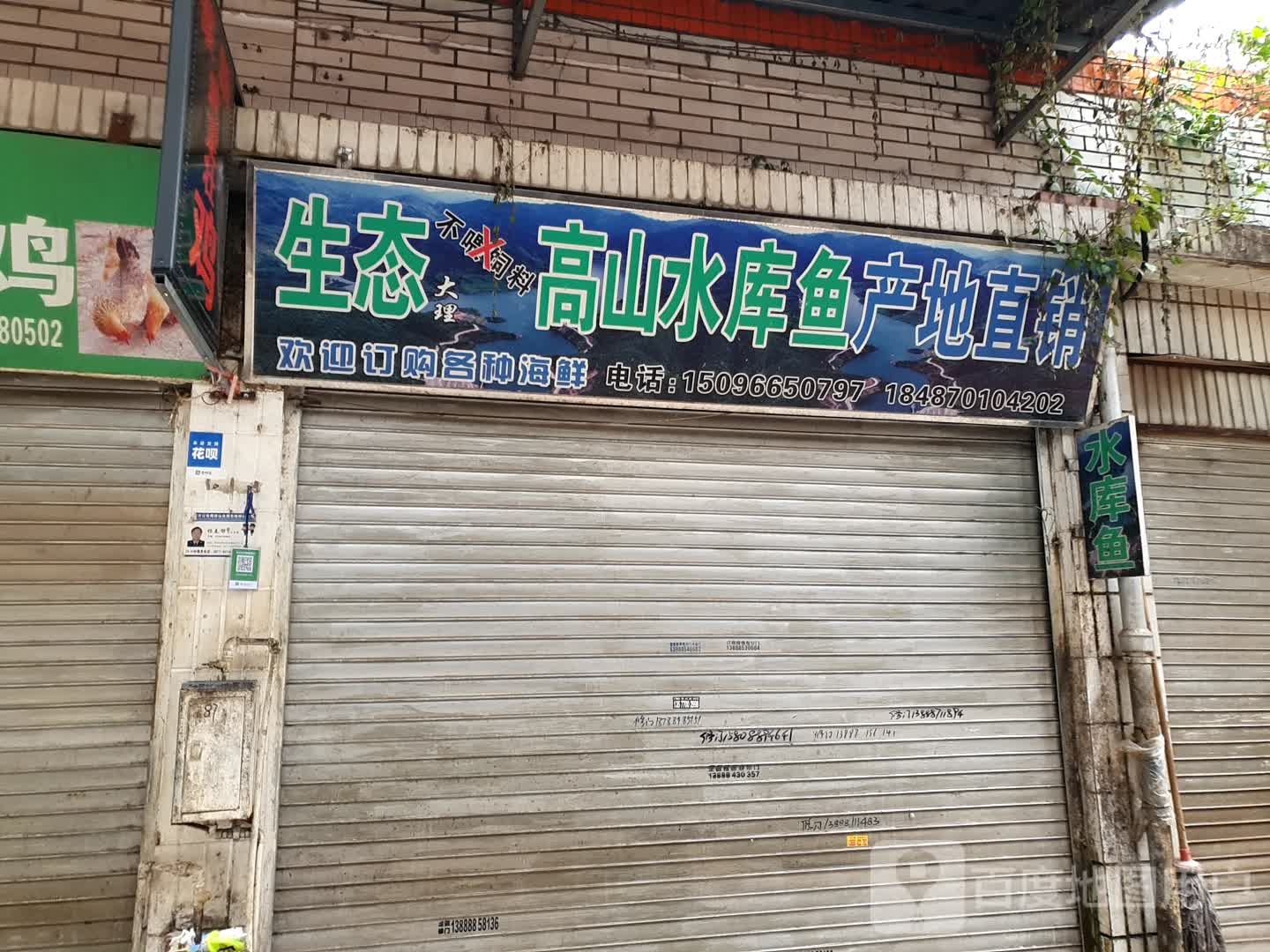 生态高山水库鱼产地直销