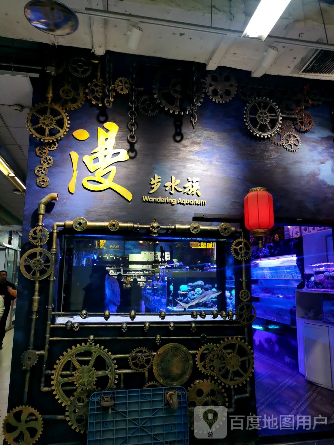 漫部水族(金源珠宝古玩城店)