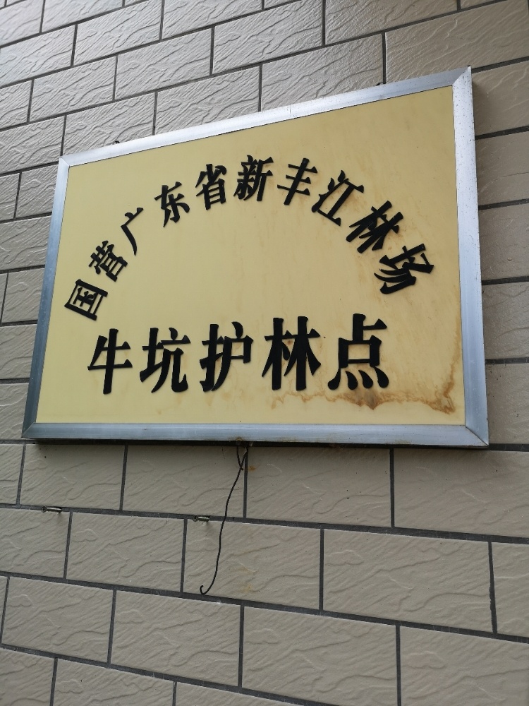 广东省新丰江林场牛坑护林点