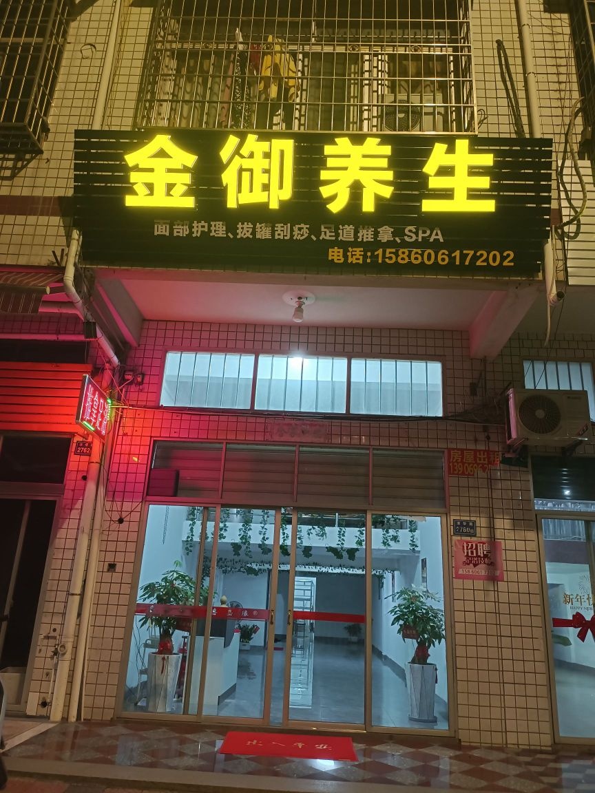 金御养生