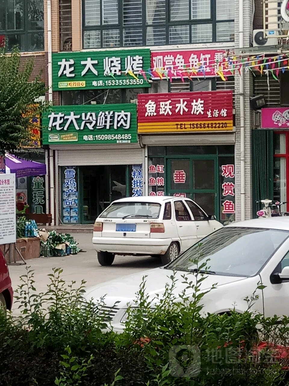 鱼跃水族渔具(金辉国际店)