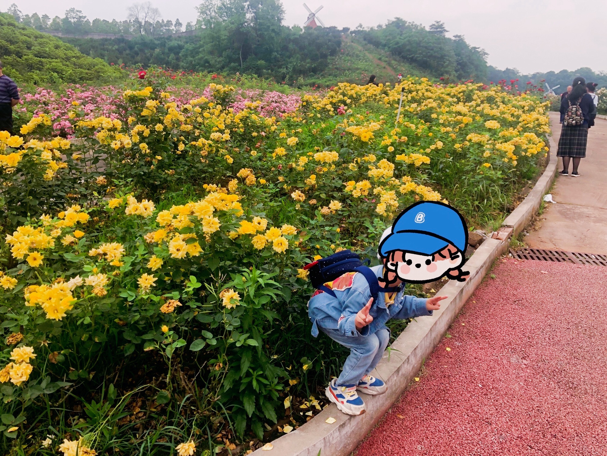 花海乐园
