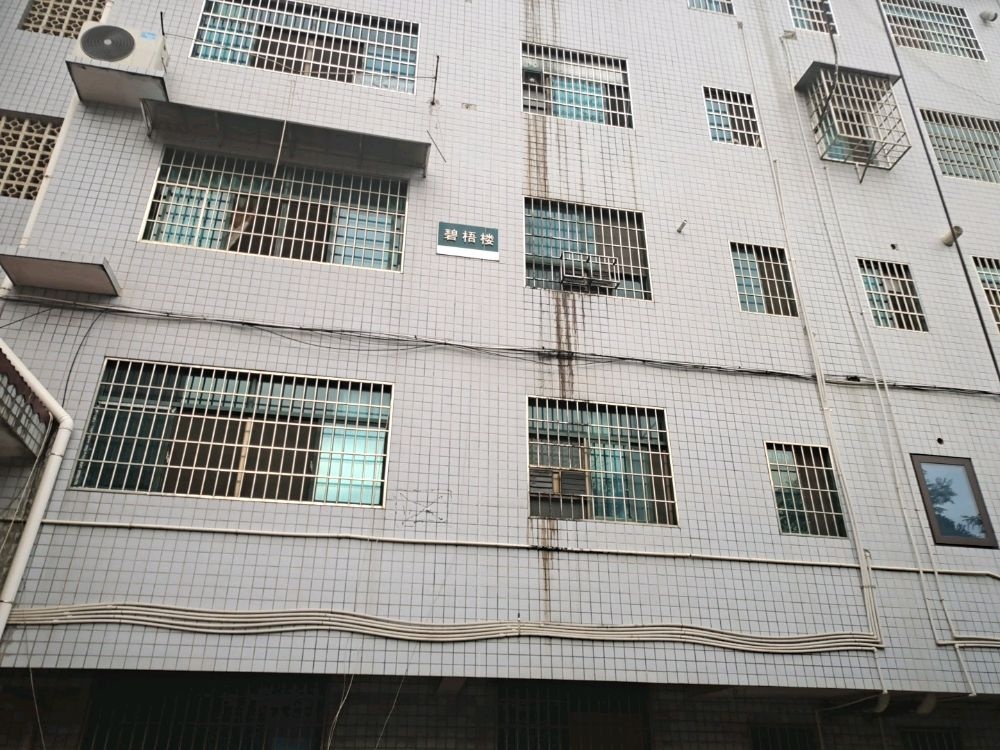 湖南人文科技学院东珠区-碧悟楼