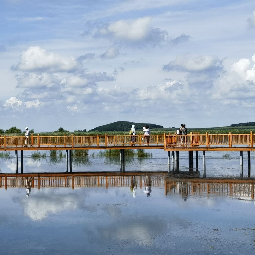 富锦国家湿地