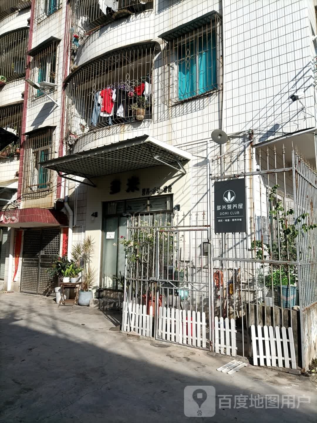 多米营养运动
