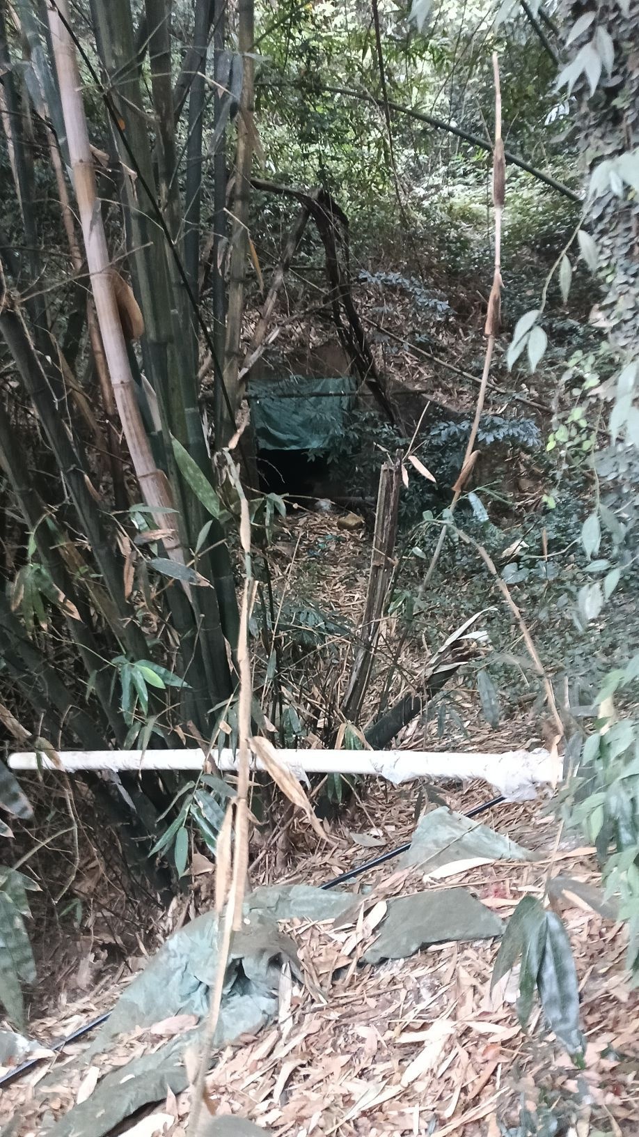 广东省韶关市浈江区莲塘山村-442号楼