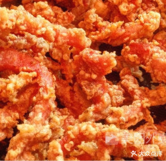 河东宁宁炸肉(艾宁宁炸肉)