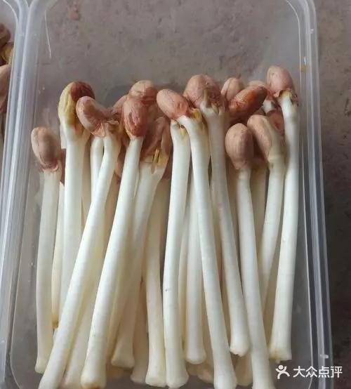 一锅捞地老火锅(圣淘沙店)