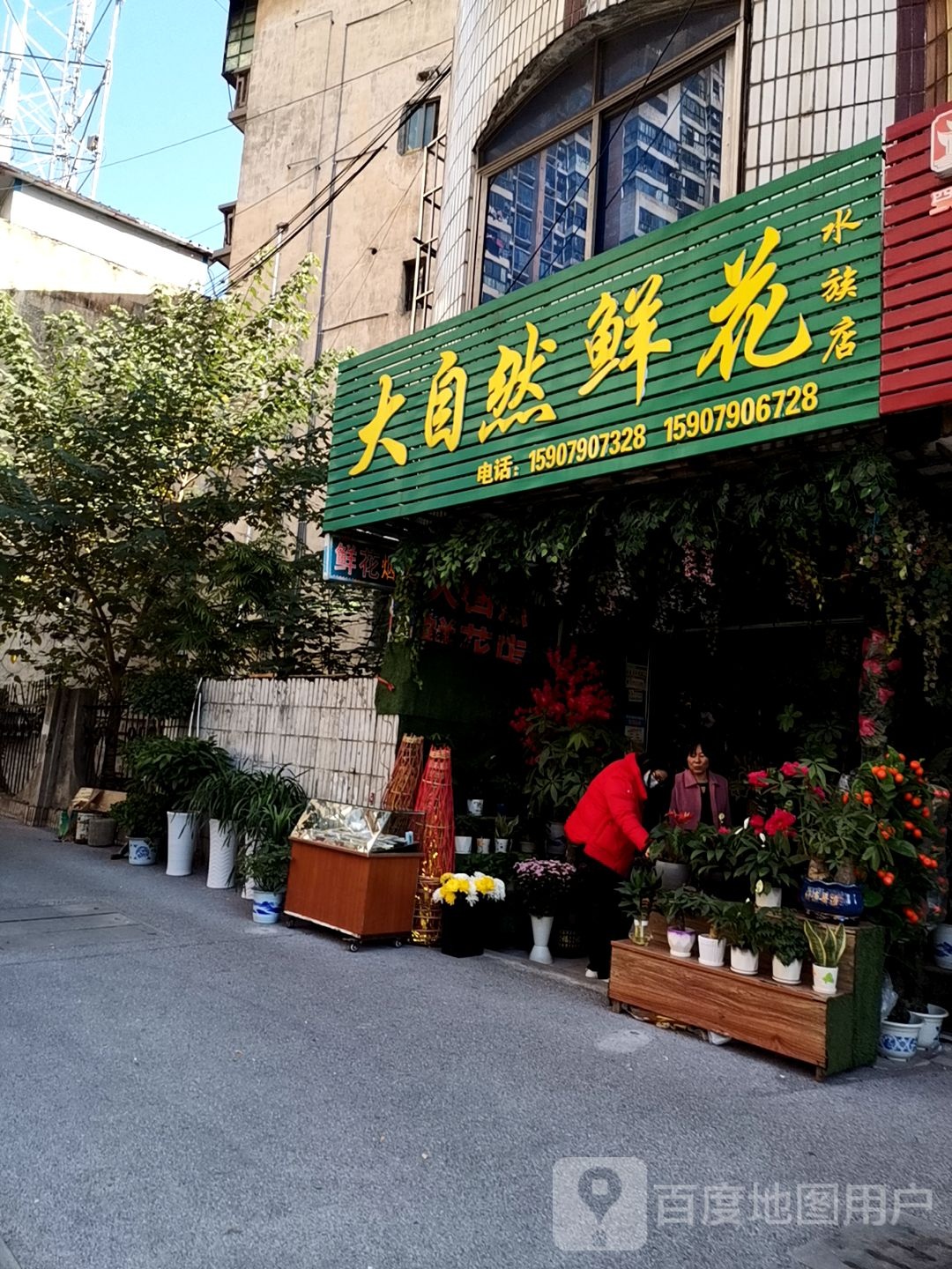 大自然鲜花店(公园北路店)