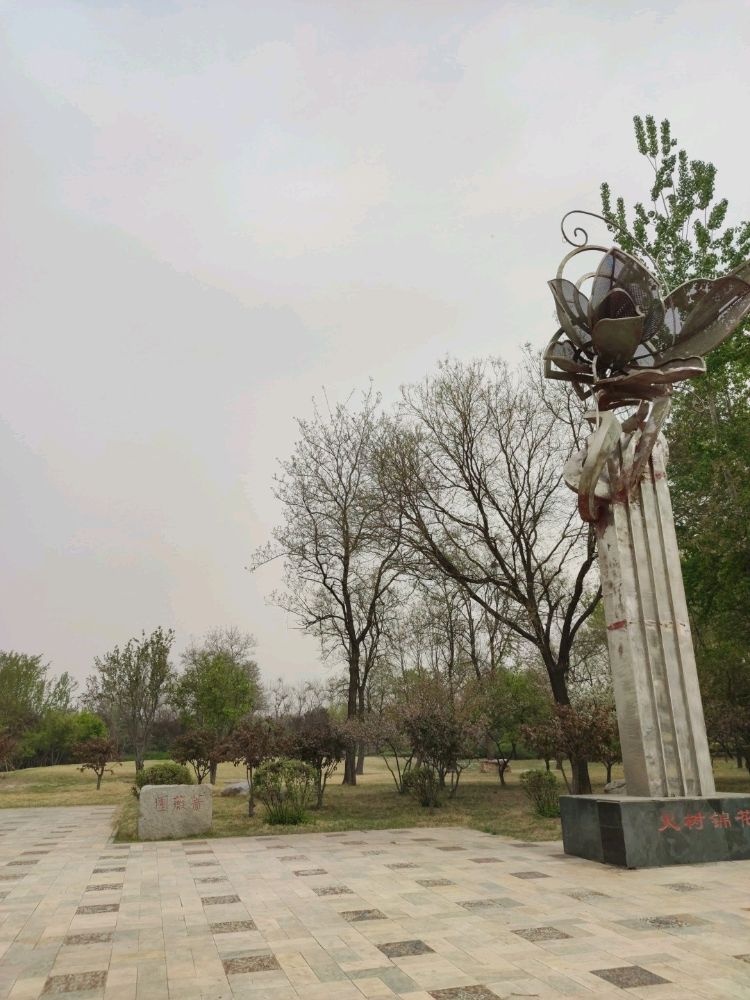 保定植物园-蔷薇园