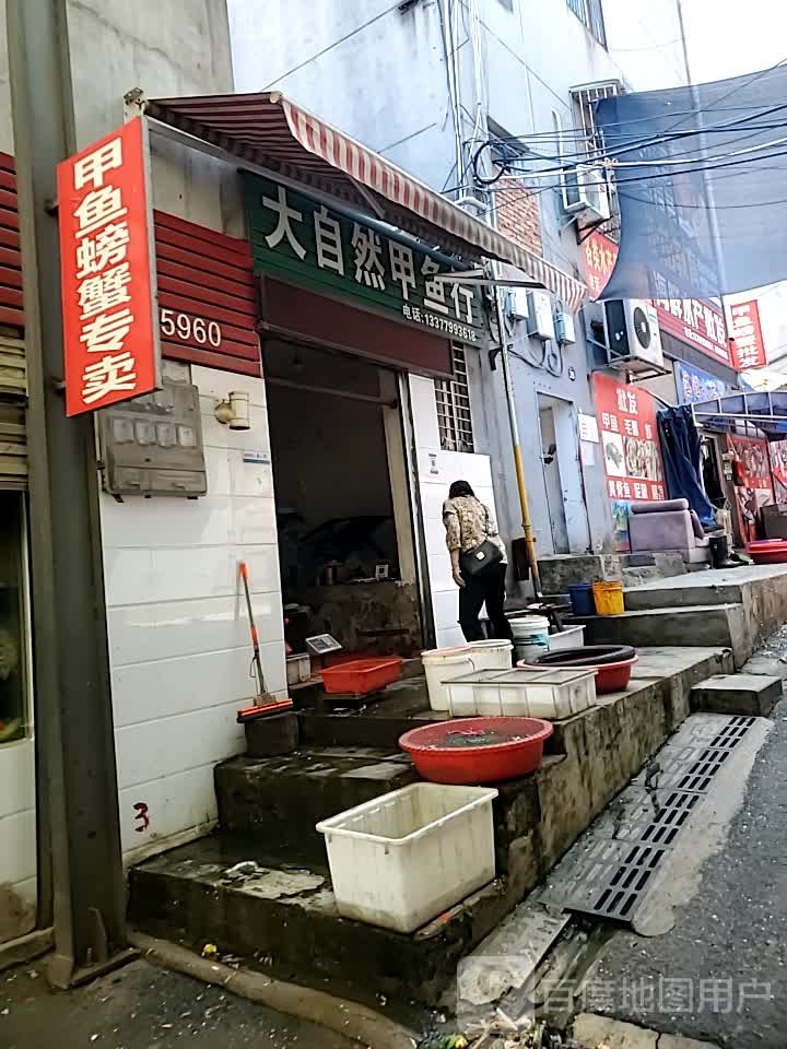 大自然甲鱼行