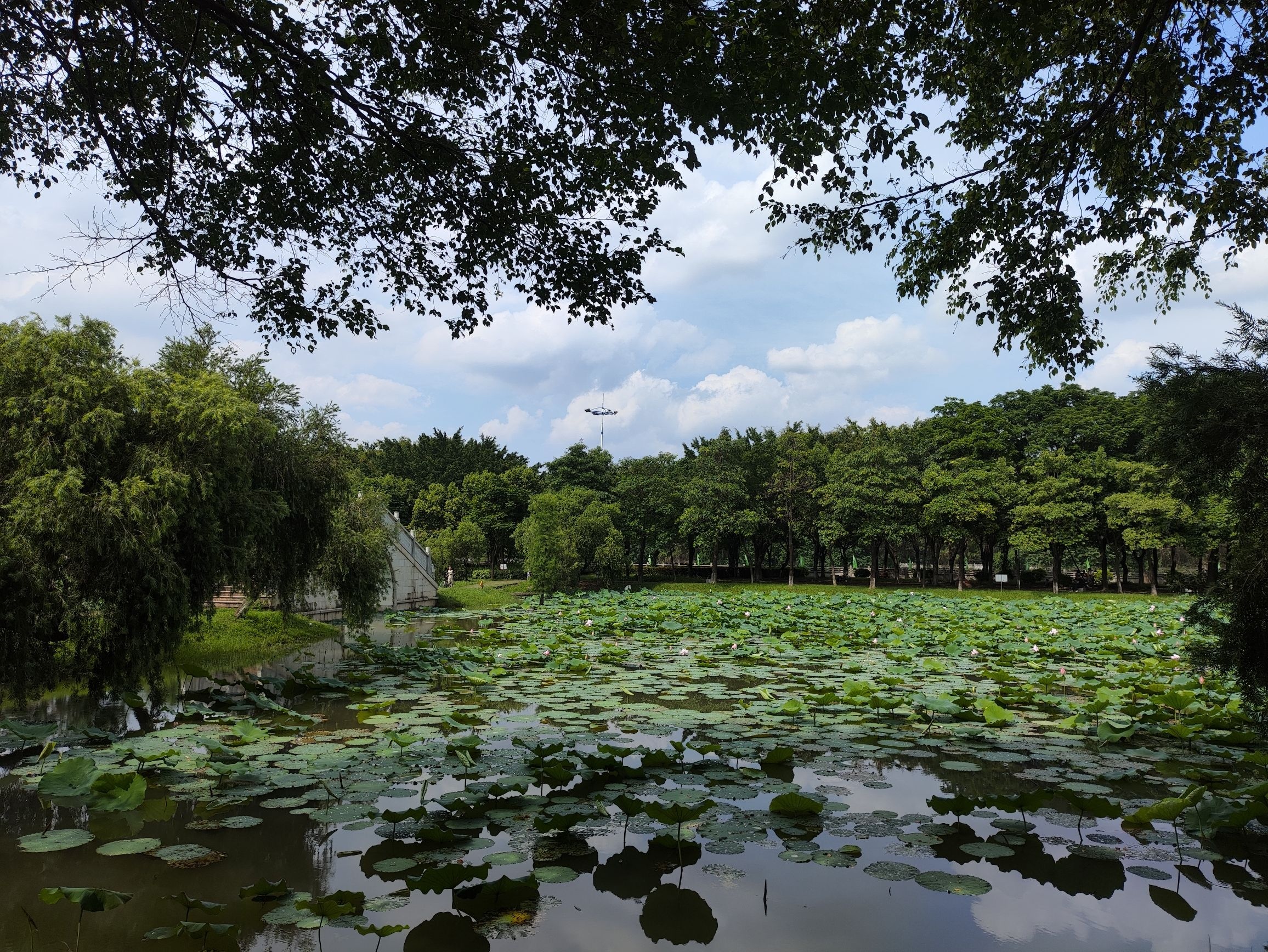 和穗湿地公园