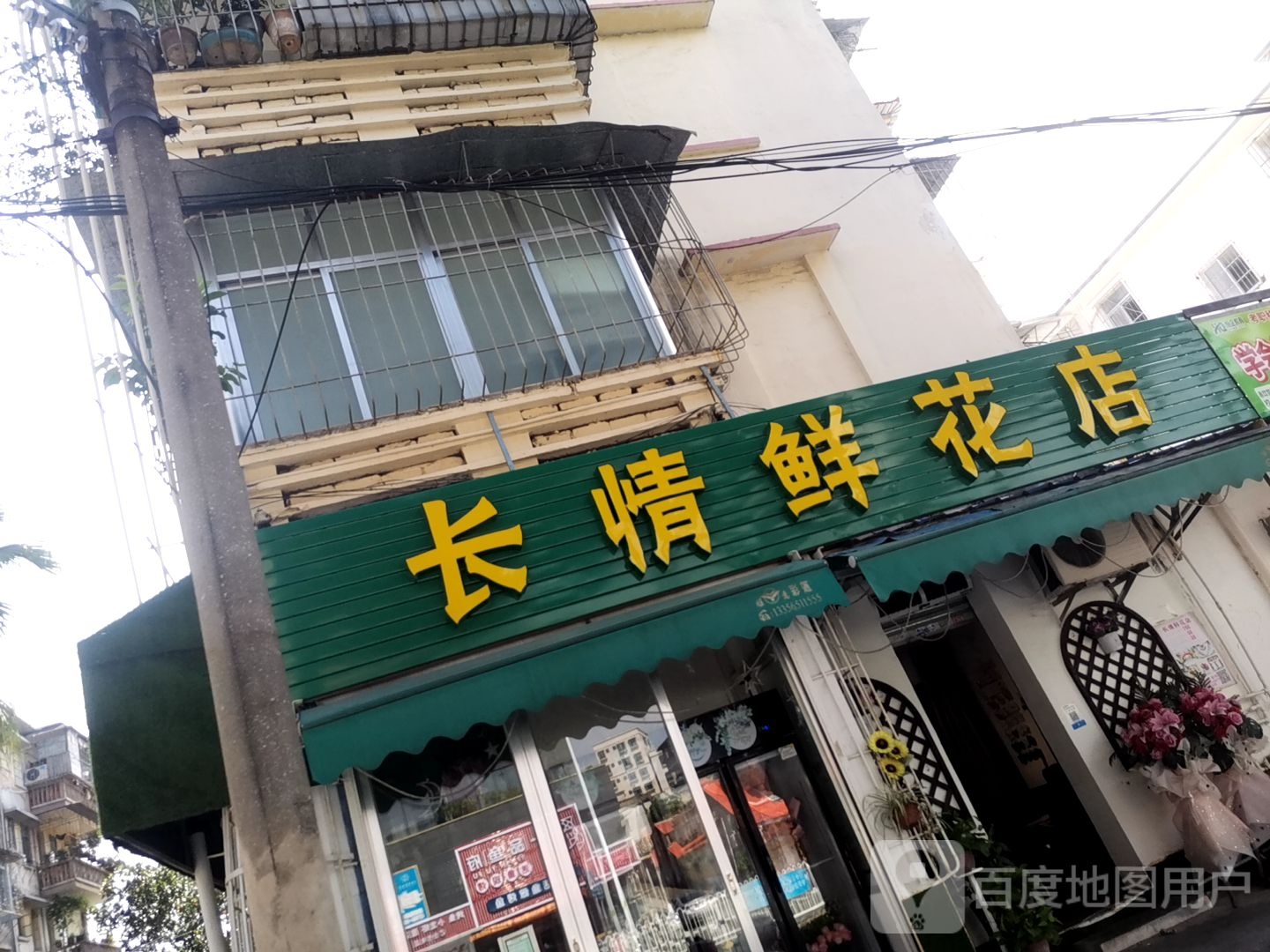 长情鲜花店(湛江店)
