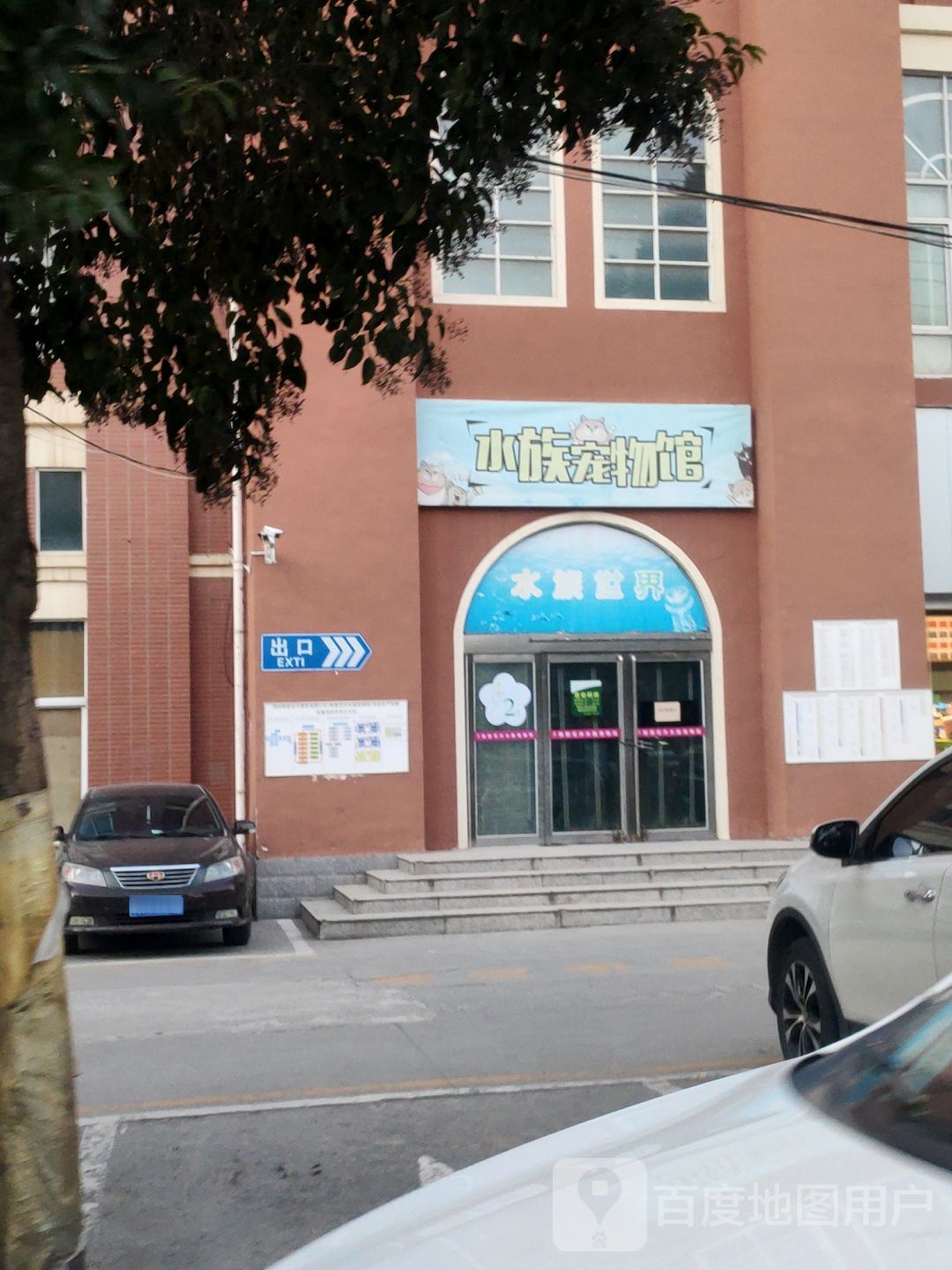 陈砦花卉观赏鱼商场