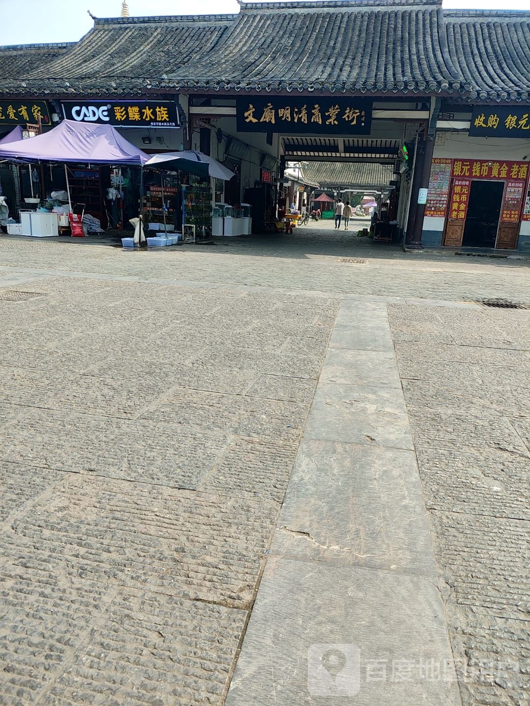 彩鲽水族(承德南路店)