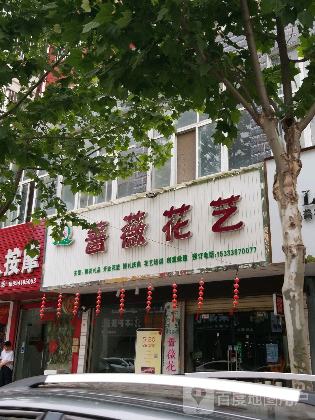 郸城县蔷薇花艺(府西路店)