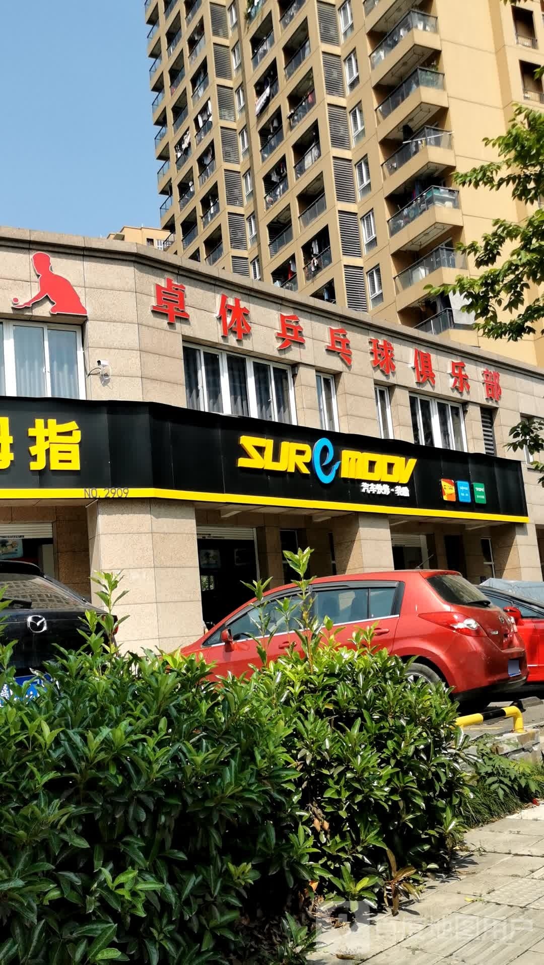 卓体乒乓球具乐部