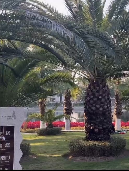 陈敬贤先生雕像