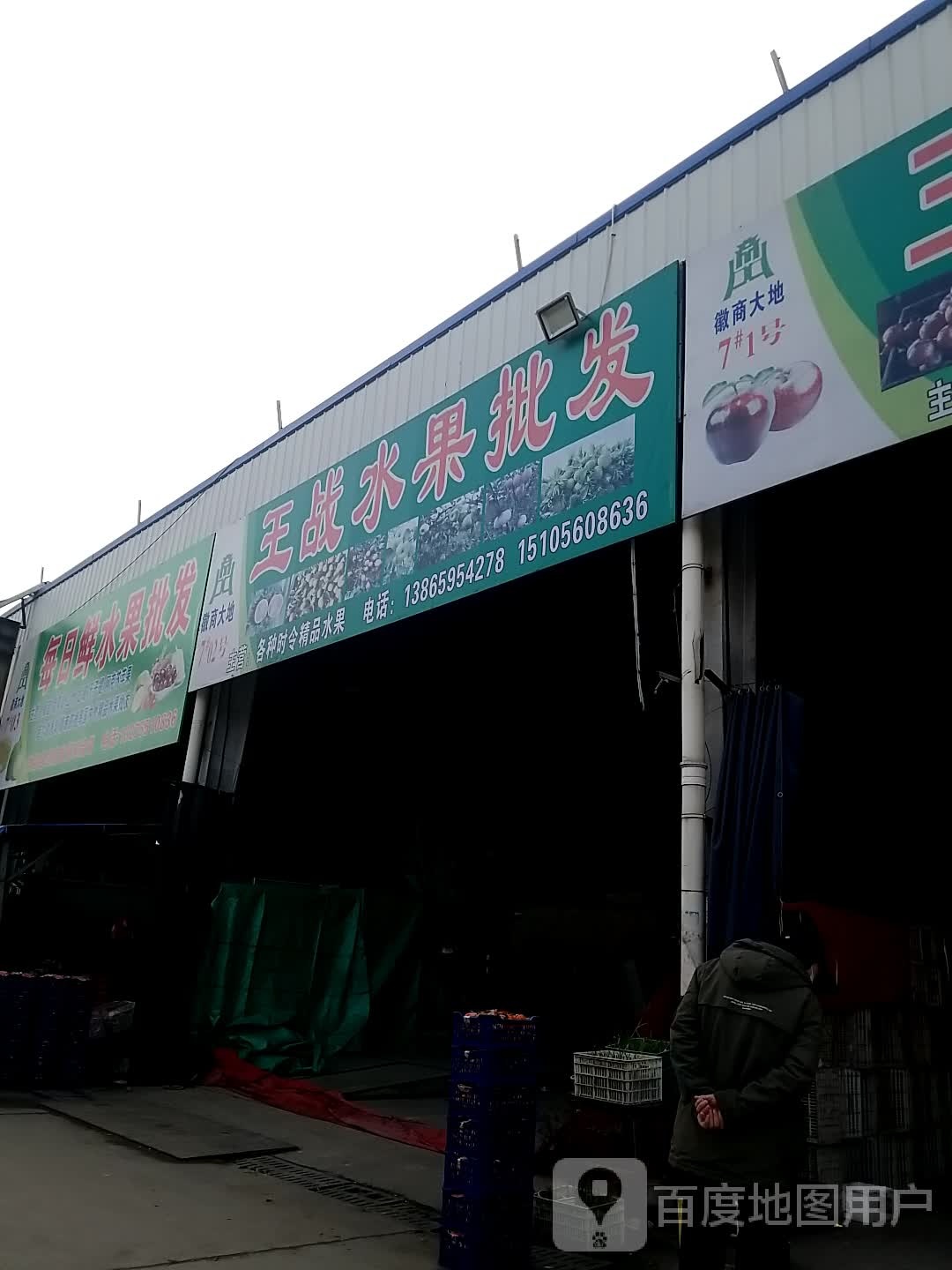 每日鲜水果批发