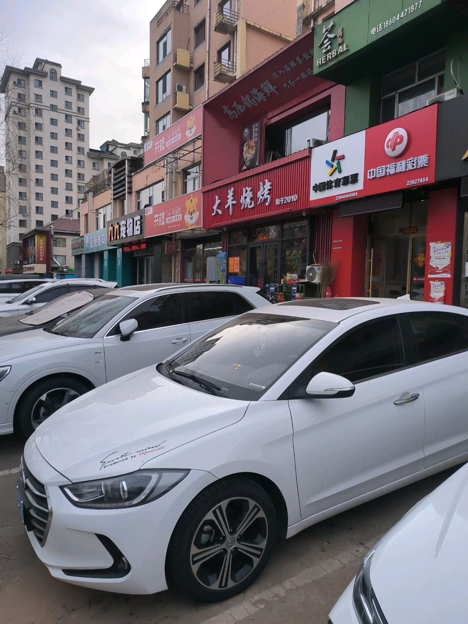 九九宠物店