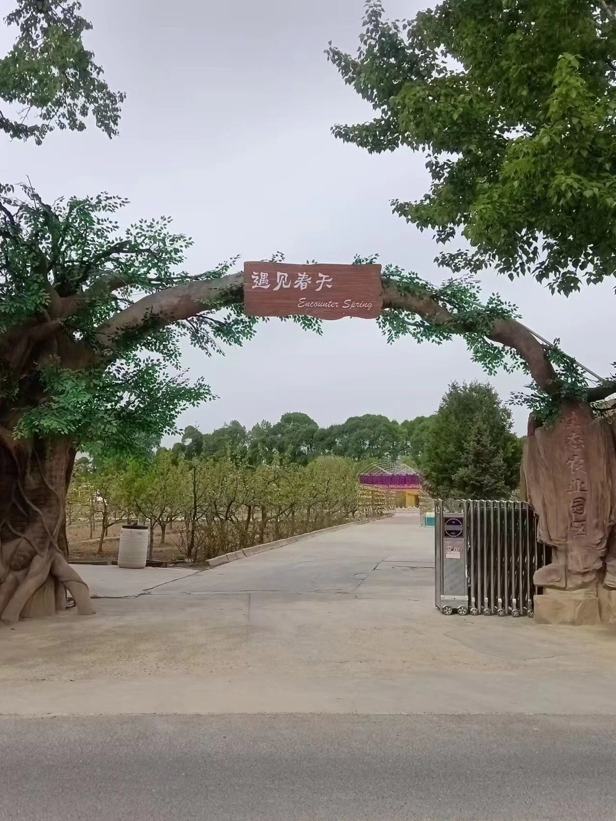 贵德遇见春天文农旅游休闲观光园