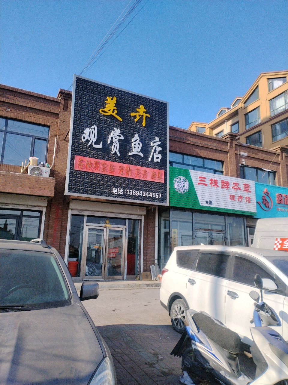 美卉观赏鱼店