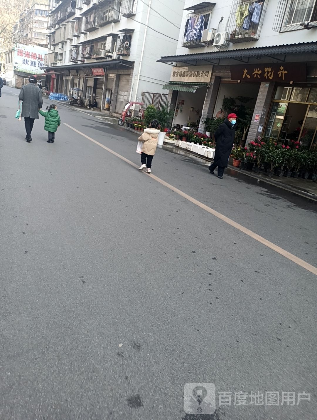 大兴花卉